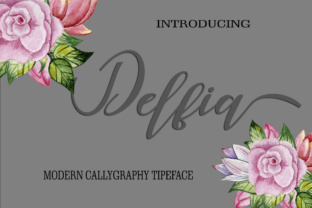 Delfia Font for Modern Design and Marketing
