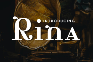 Rina Typeface for Timeless Web Design and Branding